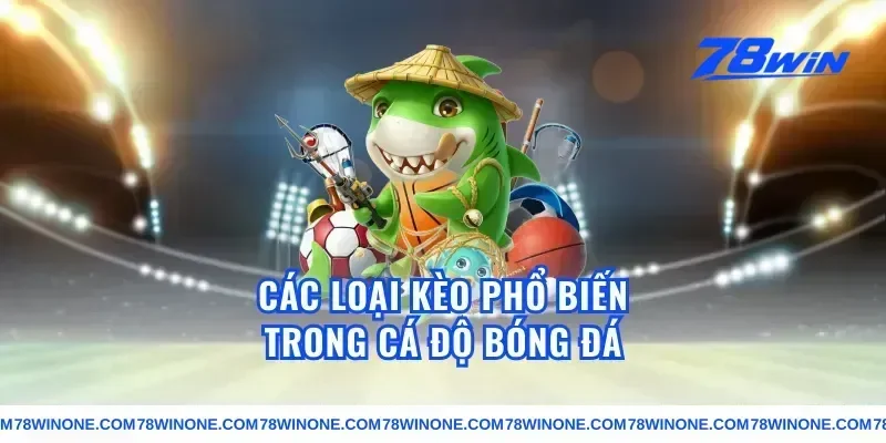 Các Loại Kèo Phổ Biến Trong Cá Độ Bóng Đá