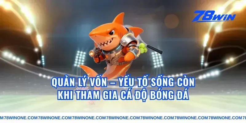 Quản Lý Vốn – Yếu Tố Sống Còn Khi Tham Gia Cá Độ Bóng Đá