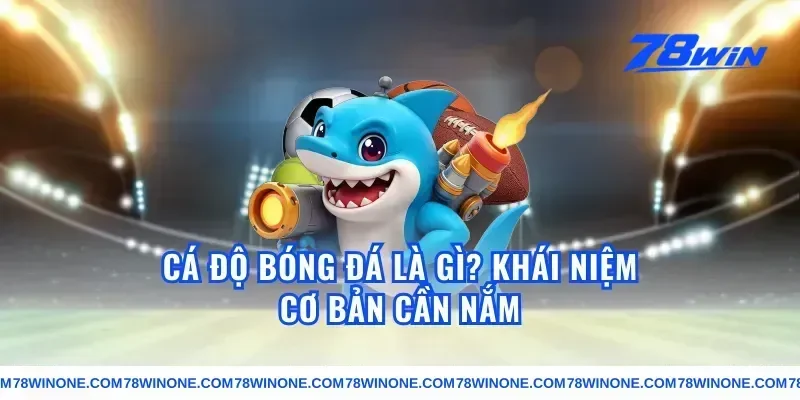Cá Độ Bóng Đá Là Gì? Khái Niệm Cơ Bản Cần Nắm