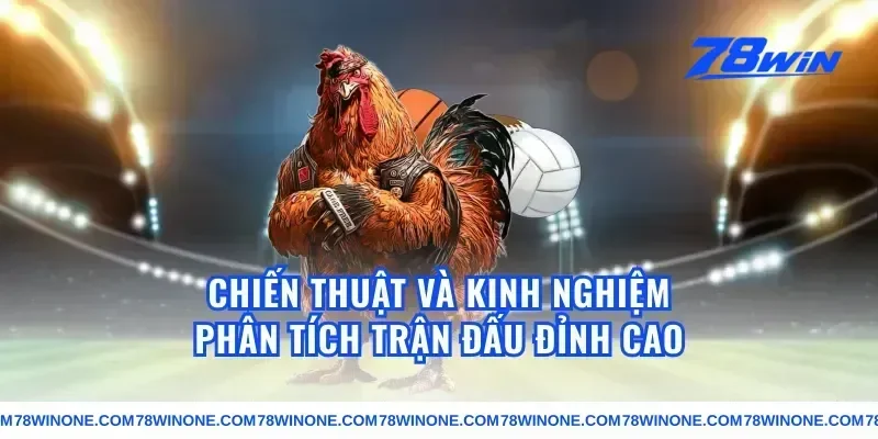 Chiến thuật và kinh nghiệm phân tích trận đấu đỉnh cao