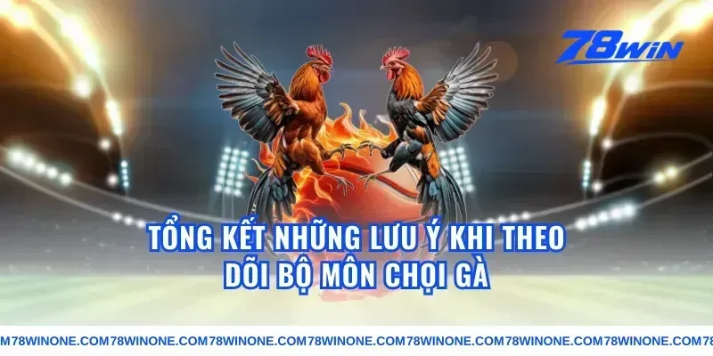 Tổng kết những lưu ý khi theo dõi bộ môn chọi gà