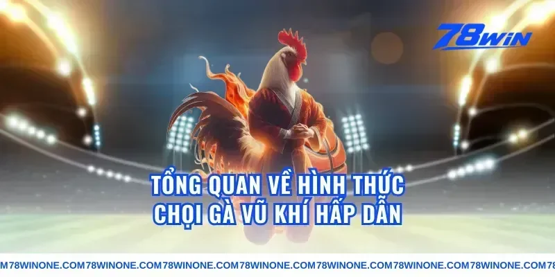 Tổng quan về hình thức chọi gà vũ khí hấp dẫn