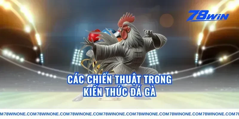 Các chiến thuật trong kiến thức đá gà