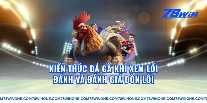 kiến thức đá gà khi xem lối đánh và đánh giá đòn lối