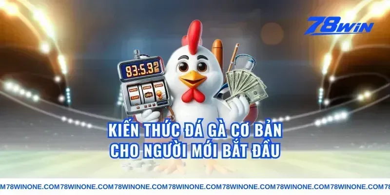 Kiến thức đá gà cơ bản cho người mới bắt đầu