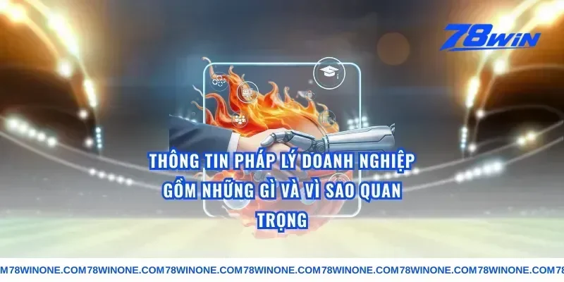 thông tin pháp lý doanh nghiệp gồm những gì và vì sao quan trọng