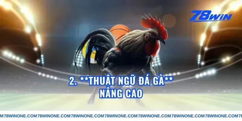 2. **Thuật ngữ đá gà** Nâng Cao