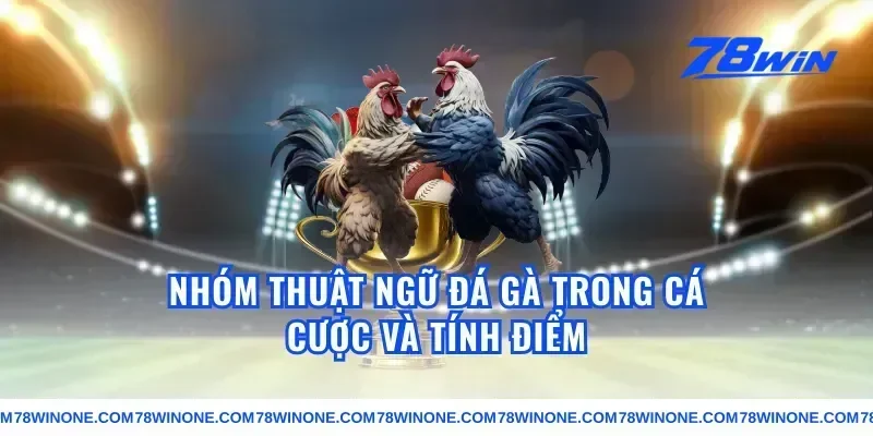 Nhóm thuật ngữ đá gà trong cá cược và tính điểm