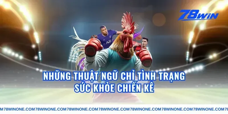 Những thuật ngữ chỉ tình trạng sức khỏe chiến kê