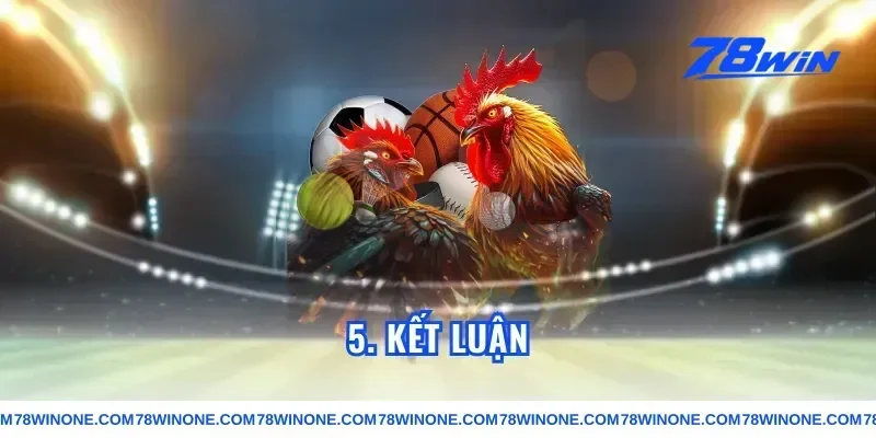 5. Kết luận