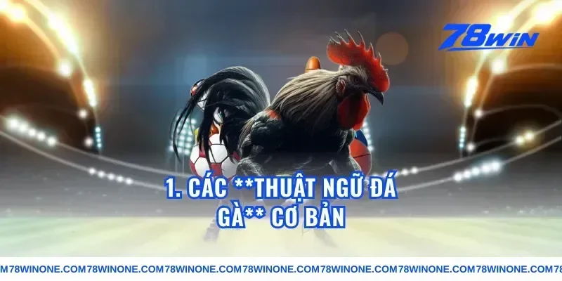 1. Các **thuật ngữ đá gà** Cơ Bản